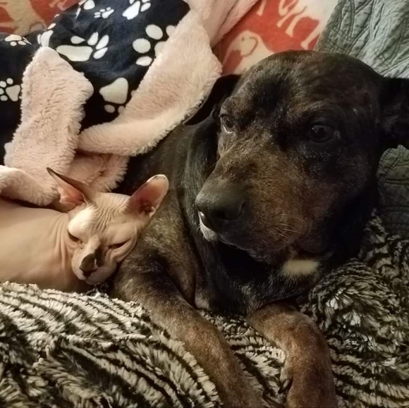 Welcome to my casa! - Picture 2 of 2